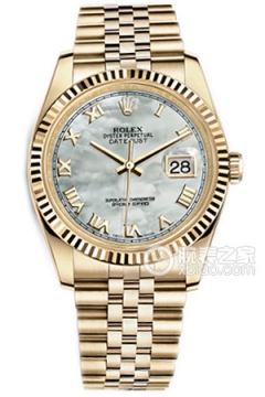 Rolex DATEJUST 116238 White Mother of Pearl Dial(116238WhiteMotherofPearlDial) <em>watch</em>