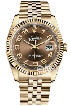 Rolex DATEJUST 116238 古铜色表盘(116238古铜色表盘) <em>watch</em>
