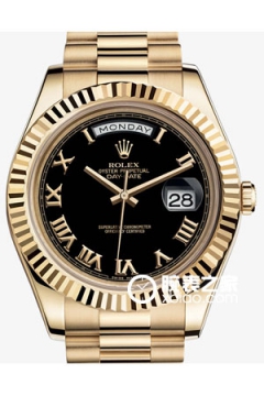 Rolex DAY-DATE 218238 Black Dial with Roman Numerals(218238BlackDialwithRomanNumerals) <em>watch</em>