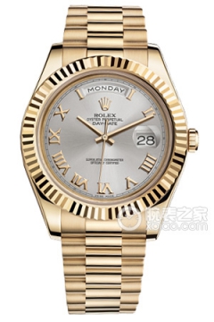 Rolex DAY-DATE 218238-83218 Silver Dial(21823883218SilverDial) <em>watch</em>