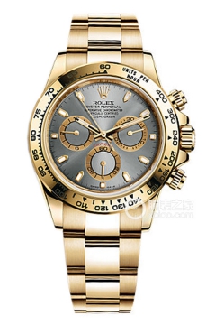 Rolex COSMOGRAPH DAYTONA 116508Silver Dial(116508SilverDial) <em>watch</em>