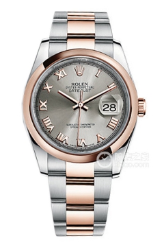 Rolex DATEJUST 116201 Silver-Grey Stainless Steel Dial(116201SilverGreyStainlessSteelDial) <em>watch</em>