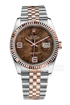 Rolex DATEJUST 116231 Chocolate Floral Pattern Dial with Diamonds(116231ChocolateFloralPatternDialwithDiamonds) <em>watch</em>