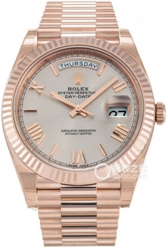 Rolex DAY-DATE 228235Silver Dial(228235SilverDial) <em>watch</em>