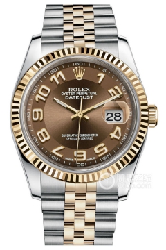 Rolex DATEJUST 116233-0209(1162330209) <em>watch</em>
