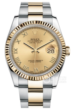 Rolex DATEJUST 116233-0193(1162330193) <em>watch</em>