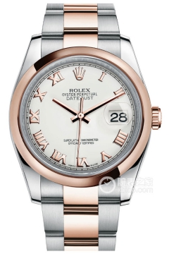 Rolex DATEJUST 116201-0093(1162010093) <em>watch</em>