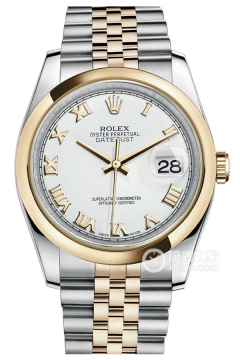 Rolex DATEJUST 116203-0144(1162030144) <em>watch</em>