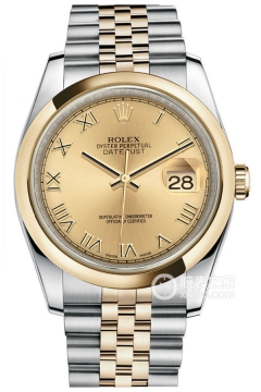 Rolex DATEJUST 116203-0141(1162030141) <em>watch</em>