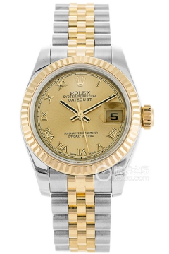 Rolex LADY-DATEJUST 179173CR(179173CR) <em>watch</em>