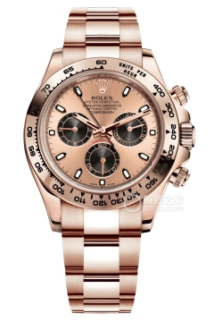 Rolex COSMOGRAPH DAYTONA m116505-0009