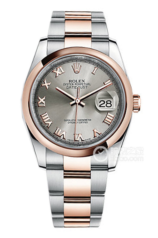 Rolex DATEJUST 116201 Silver-Grey Stainless Steel Dial