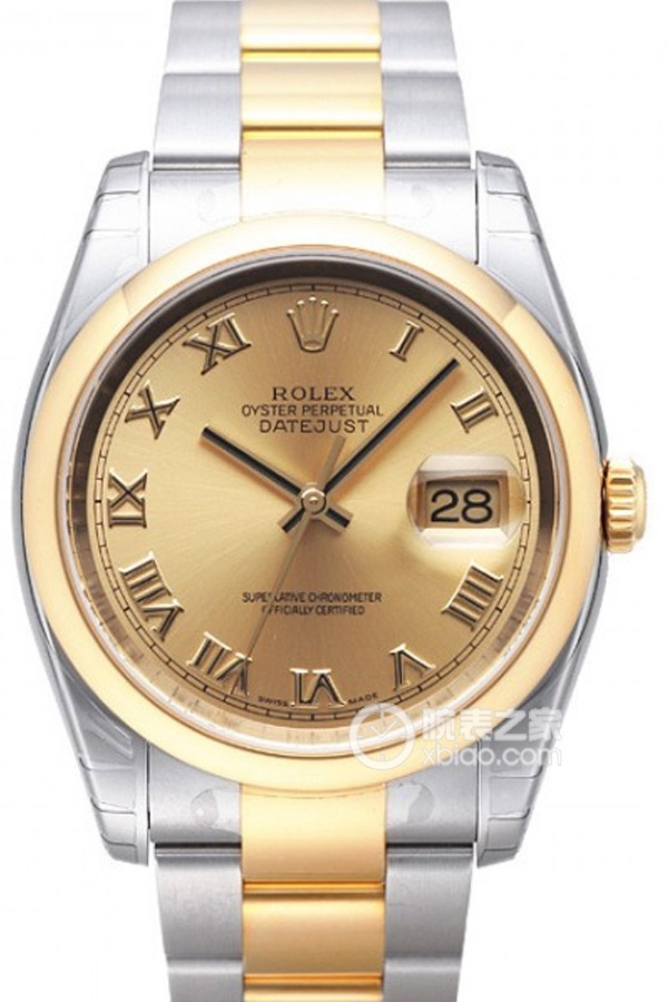 Rolex DATEJUST 116203金盘罗马时标