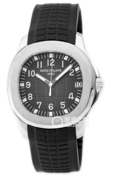 PATEK PHILIPPE AQUANAUT 5165A(5165A) <em>watch</em>