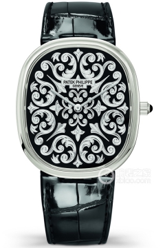 PATEK PHILIPPE RARE HANDCRAFTS 5738-50P-001(573850P001) <em>watch</em>