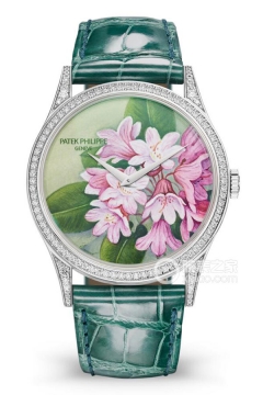 PATEK PHILIPPE RARE HANDCRAFTS 5077/100G-035(5077100G035) <em>watch</em>