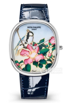 PATEK PHILIPPE RARE HANDCRAFTS 5738/50G-001(573850G001) <em>watch</em>