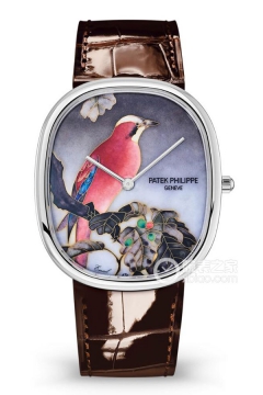 PATEK PHILIPPE RARE HANDCRAFTS 5738/50G-011(573850G011) <em>watch</em>