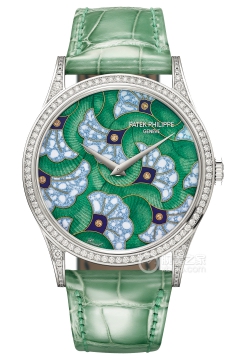 PATEK PHILIPPE RARE HANDCRAFTS 5077/100G-043(5077100G043) <em>watch</em>