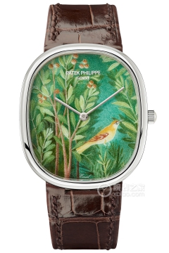 PATEK PHILIPPE RARE HANDCRAFTS 5738/50G-022(573850G022) <em>watch</em>