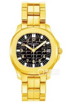 PATEK PHILIPPE AQUANAUT 5065/1J-001(50651J001) <em>watch</em>