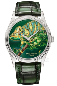 PATEK PHILIPPE RARE HANDCRAFTS 5177G-026(5177G026) <em>watch</em>