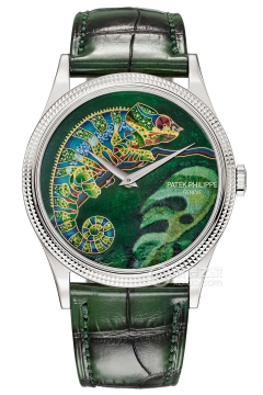 PATEK PHILIPPE RARE HANDCRAFTS 5177G-027(5177G027) <em>watch</em>