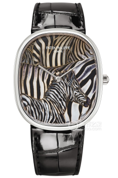 PATEK PHILIPPE RARE HANDCRAFTS 5738/50G-023(573850G023) <em>watch</em>