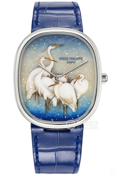 PATEK PHILIPPE RARE HANDCRAFTS 5738/50G-026(573850G026) <em>watch</em>