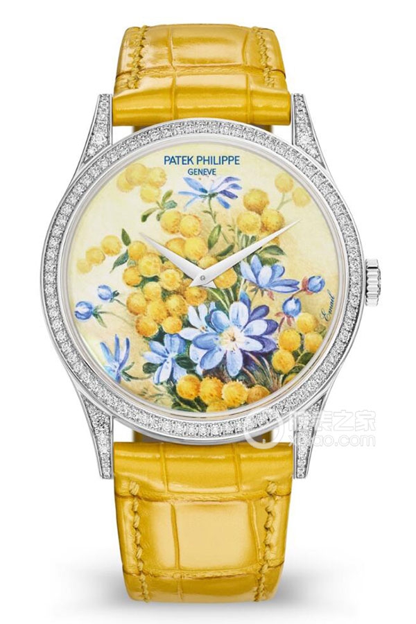 PATEK PHILIPPE RARE HANDCRAFTS 5077/100G-037