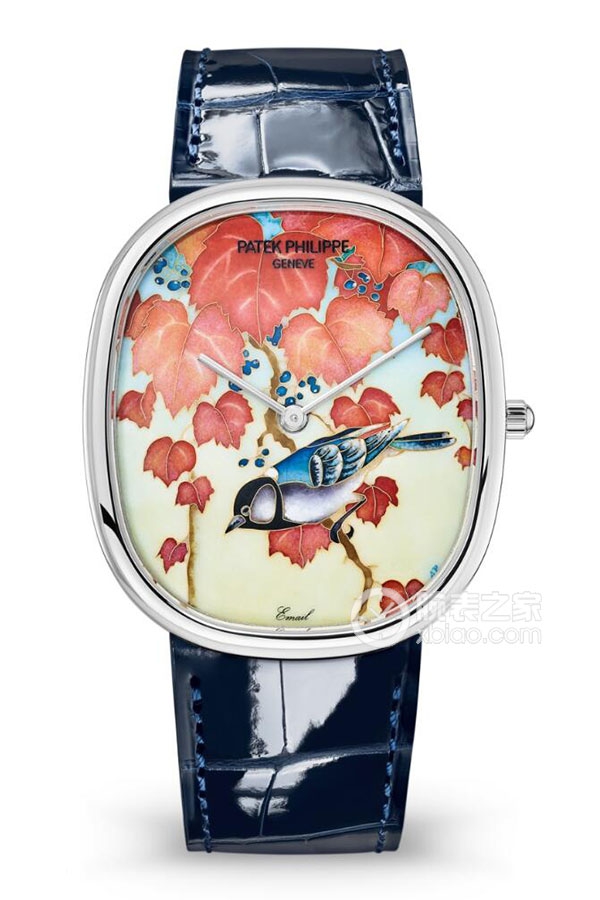 PATEK PHILIPPE RARE HANDCRAFTS 5738/50G-012